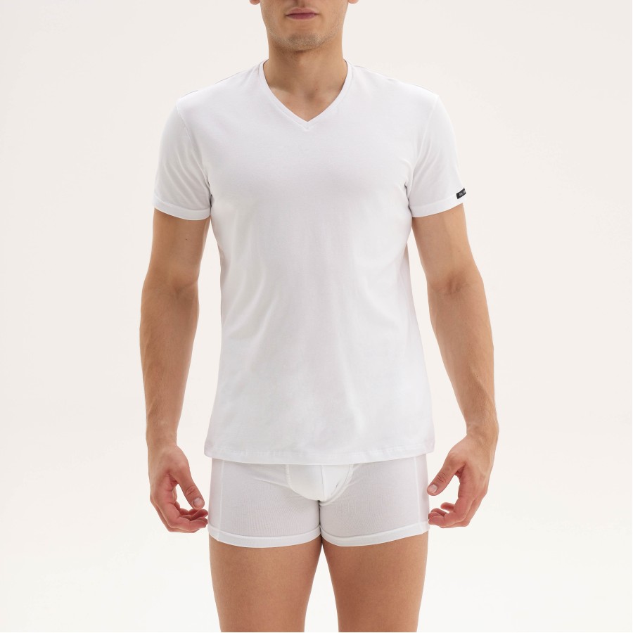 TOP V wh