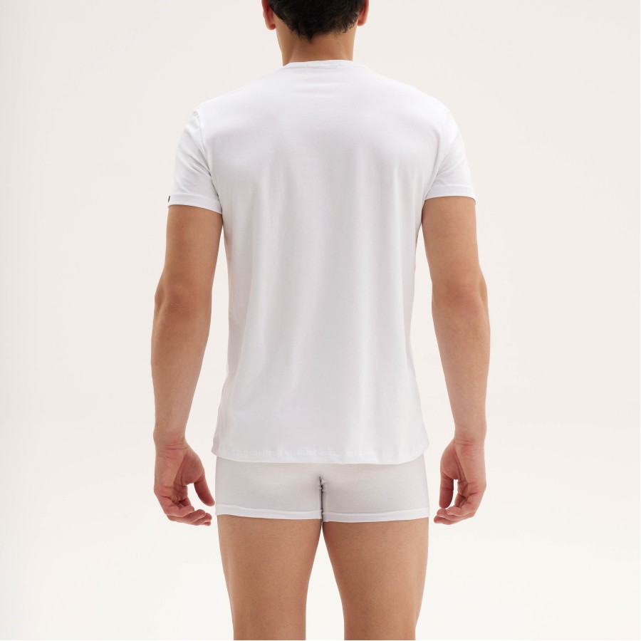 TOP V wh
