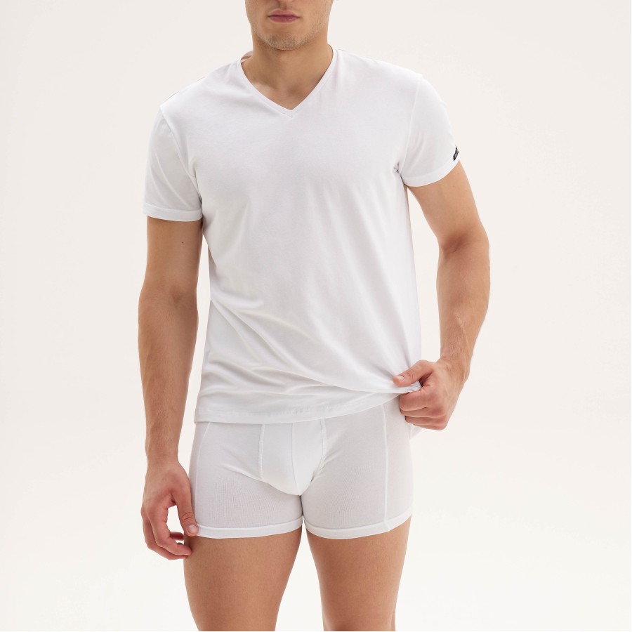 TOP V wh